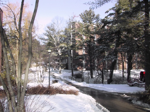 bridge-winter-small.jpg